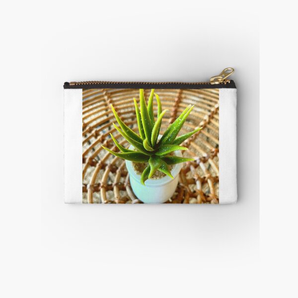 Item preview, SUCCULENT PLANT designed and sold by iAmmAja43.