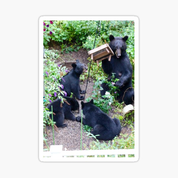 Bears in the Garden Sticker