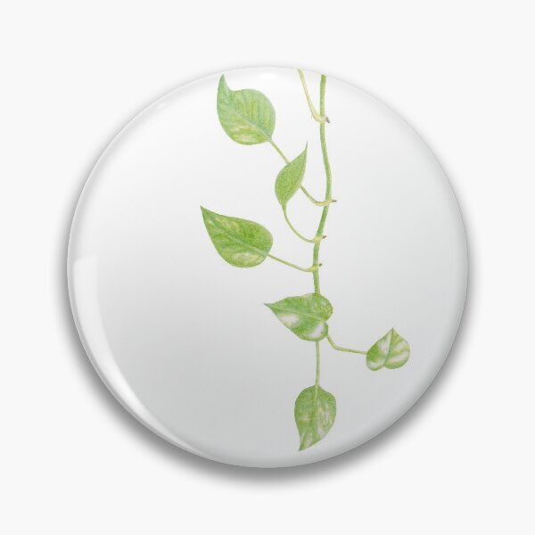Item preview, Pothos Vine designed and sold by YuNikDraw.