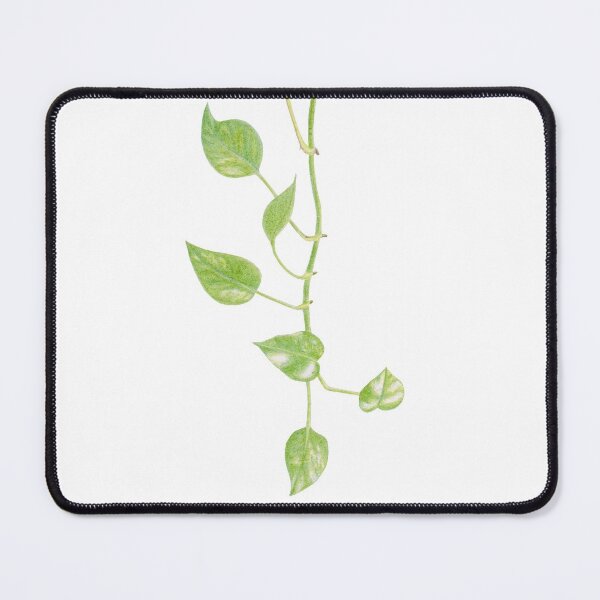 Item preview, Pothos Vine designed and sold by YuNikDraw.