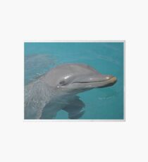 Flipper Galeriedruck