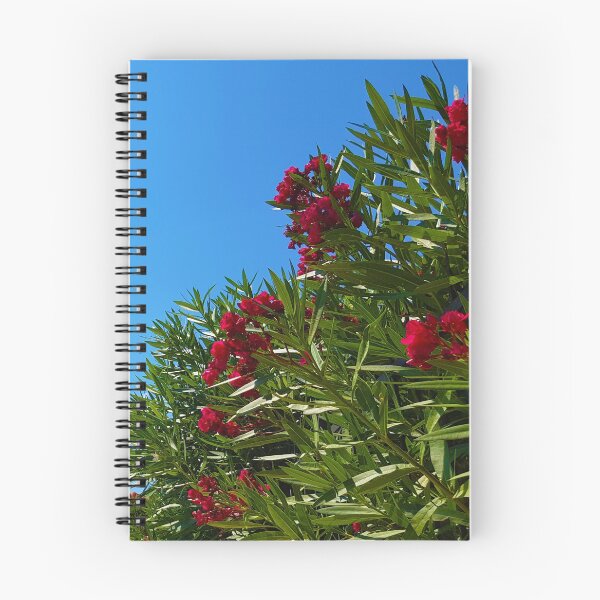 Item preview, Red Mediterranean Flowers designed and sold by Kate-P-.