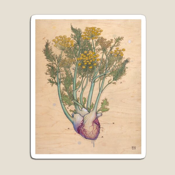 Fennel Heart Magnet