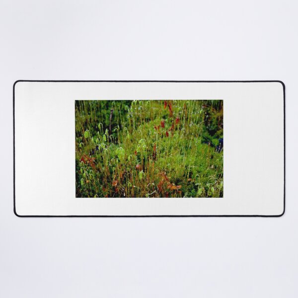 Item preview, Rainy Moss designed and sold by GP1746.