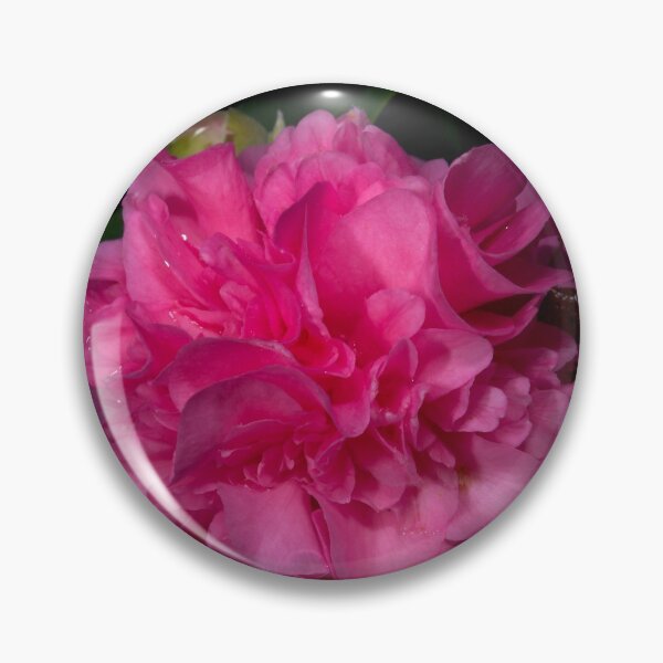 Item preview, Pink Camellia designed and sold by GP1746.