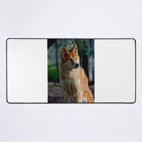 Item preview, Dingo Gaze designed and sold by GP1746.