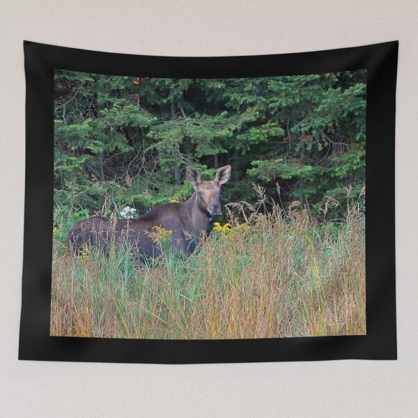 Item preview, Moose in the meadow designed and sold by Enola Gay Wagner.
