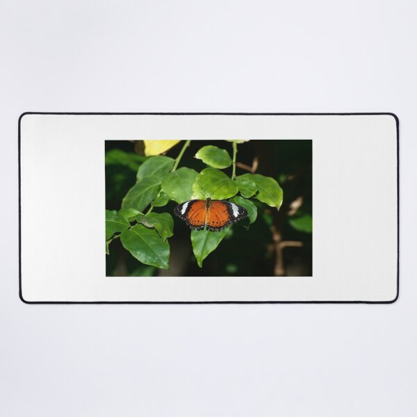 Item preview, Monarch At Rest designed and sold by GP1746.