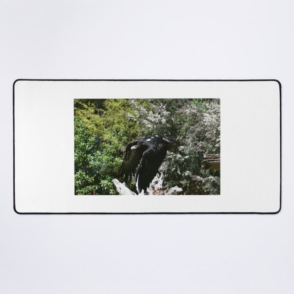 Item preview, Eagle In Flight designed and sold by GP1746.