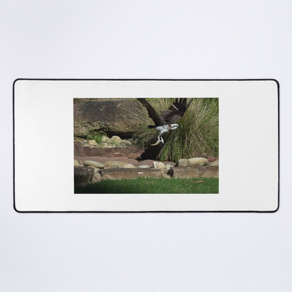 Item preview, What A Catch! designed and sold by GP1746.