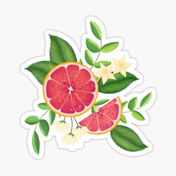Item preview, GRAPEFRUIT designed and sold by Hana Aghababian.