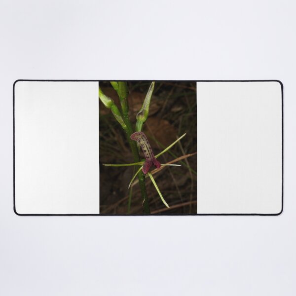 Item preview, Tongue Orchid designed and sold by GP1746.