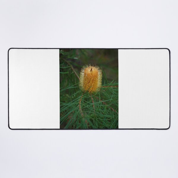 Item preview, Hairpin Banksia designed and sold by GP1746.