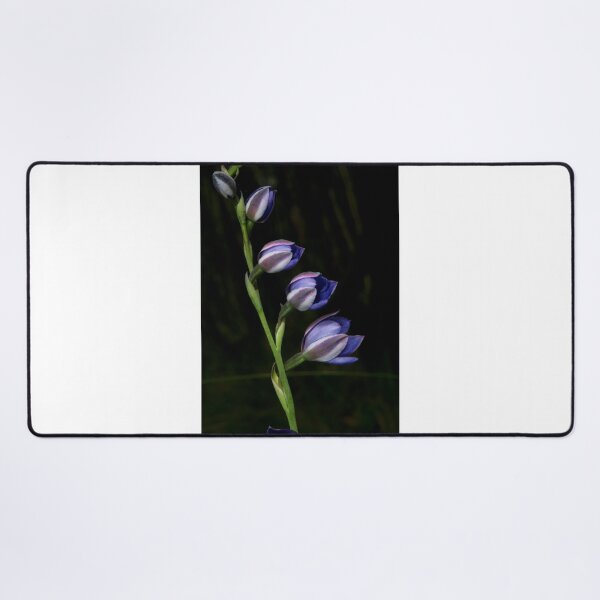 Item preview, Line Of Sun Orchids designed and sold by GP1746.