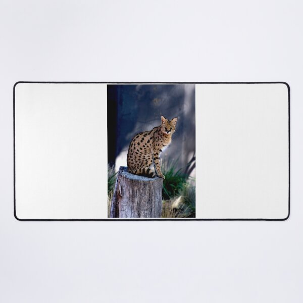 Item preview, Serval Posing designed and sold by GP1746.