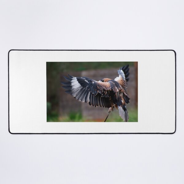 Item preview, Buzzard Wing designed and sold by GP1746.