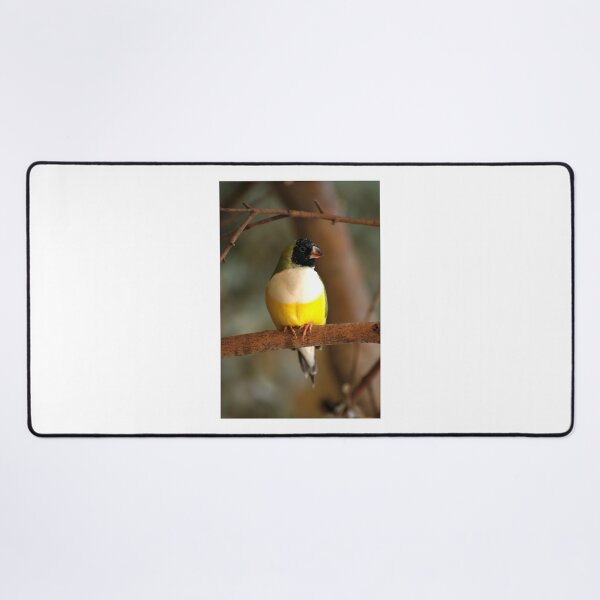 Item preview, Gouldian Finch designed and sold by GP1746.