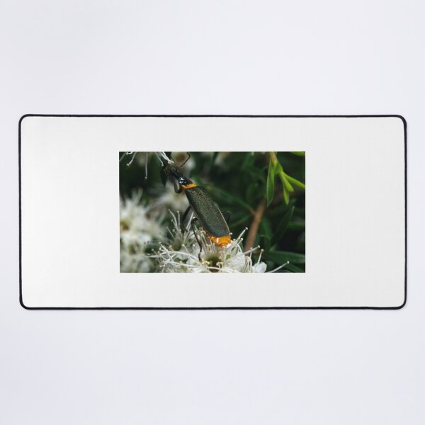 Item preview, Jewel Beetle Eating Nectar designed and sold by GP1746.