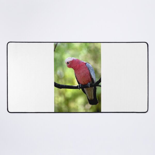 Item preview, Galah designed and sold by GP1746.
