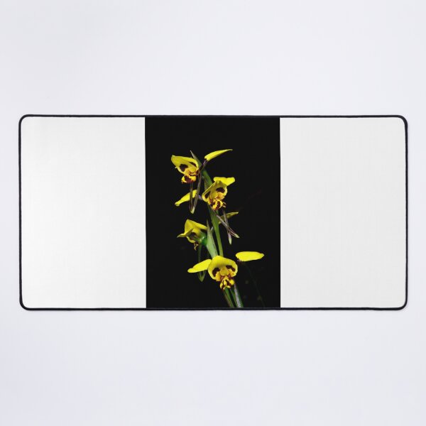 Item preview, Tiger Orchid Foursome designed and sold by GP1746.