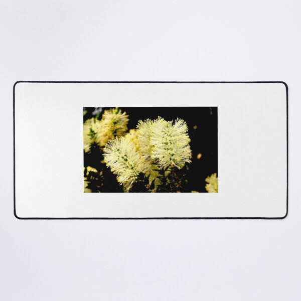 Item preview, Scented Paperbark designed and sold by GP1746.