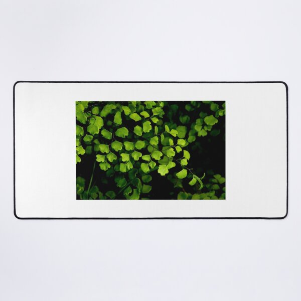 Item preview, Maidenhair Fern designed and sold by GP1746.