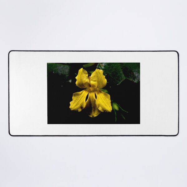 Item preview, Hop Goodenia designed and sold by GP1746.