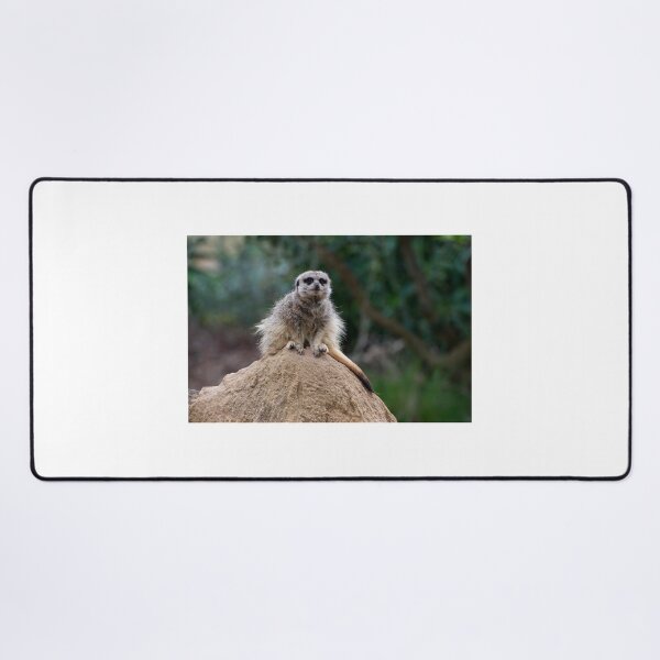 Item preview, Meerkat King Of The Castle designed and sold by GP1746.