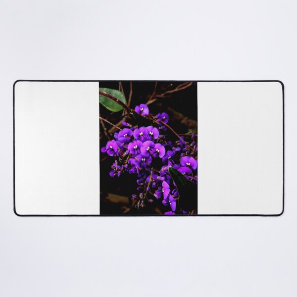 Item preview, Hardenbergia Violacea - False Sarsaparilla designed and sold by GP1746.