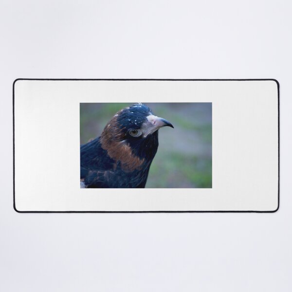 Item preview, Buzzard Eye designed and sold by GP1746.