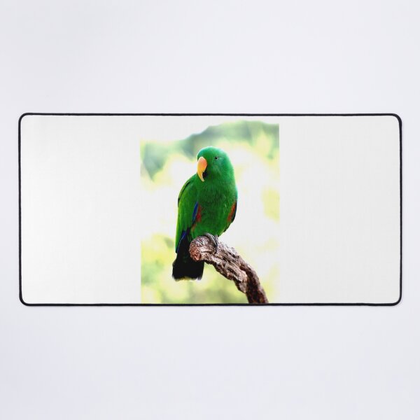 Item preview, Eclectus Male Parrot designed and sold by GP1746.