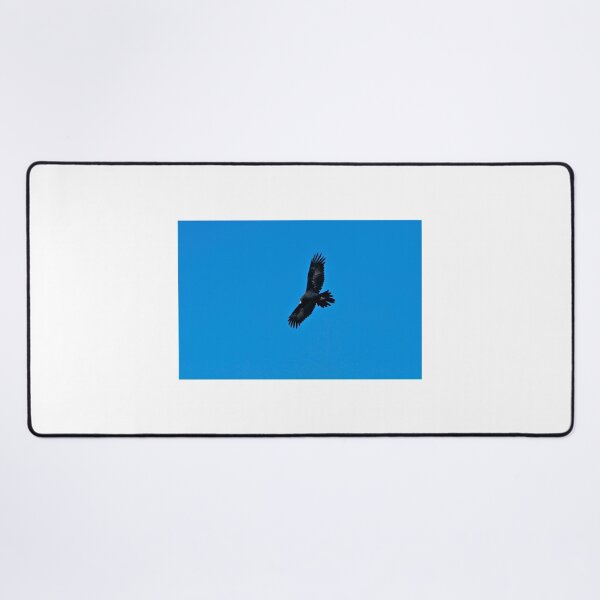 Item preview, Wedge Tailed Eagle in flight designed and sold by GP1746.
