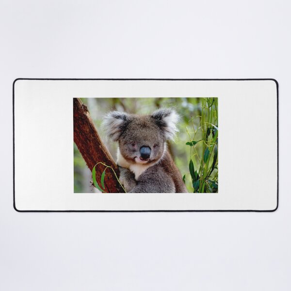 Item preview, Koala Portrait 2 designed and sold by GP1746.