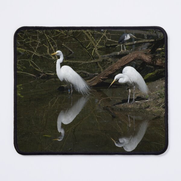 Item preview, Egret Reflections designed and sold by GP1746.