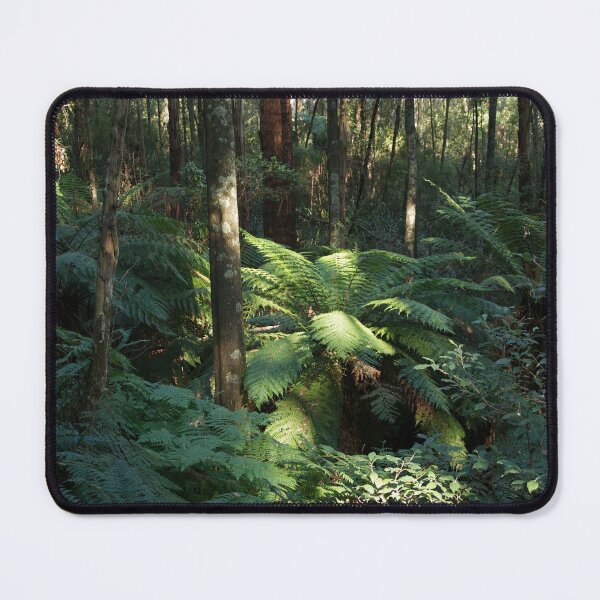 Item preview, Sunlit Tree Fern designed and sold by GP1746.