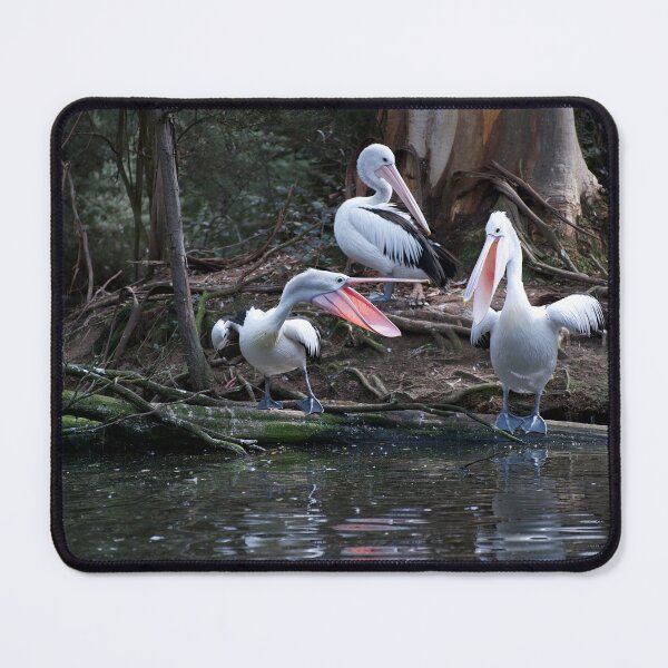 Item preview, Pelican Spat designed and sold by GP1746.