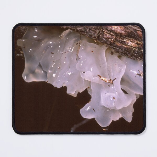 Item preview, Jelly Fungus designed and sold by GP1746.
