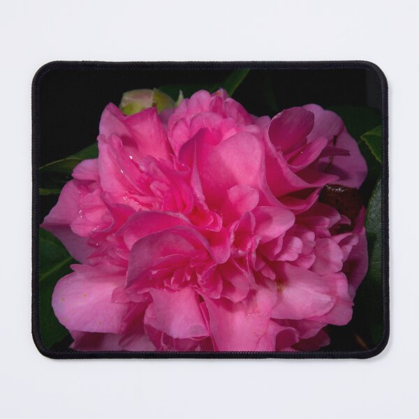Item preview, Pink Camellia designed and sold by GP1746.