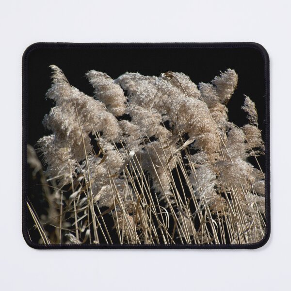 Item preview, Grass In The Wind designed and sold by GP1746.