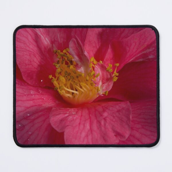 Item preview, Clematis Stamens designed and sold by GP1746.