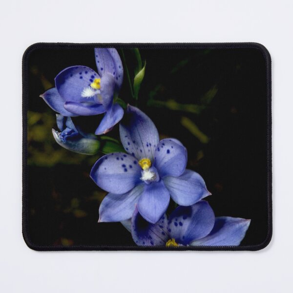 Item preview, Blue Sun Spots designed and sold by GP1746.