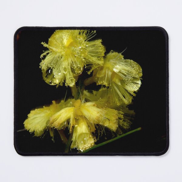 Item preview, Wet Wattle designed and sold by GP1746.
