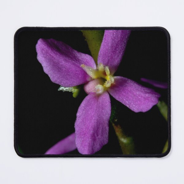 Item preview, Grass Trigger Plant designed and sold by GP1746.