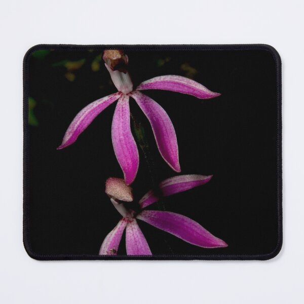 Item preview, Black Tongue Caladenia designed and sold by GP1746.