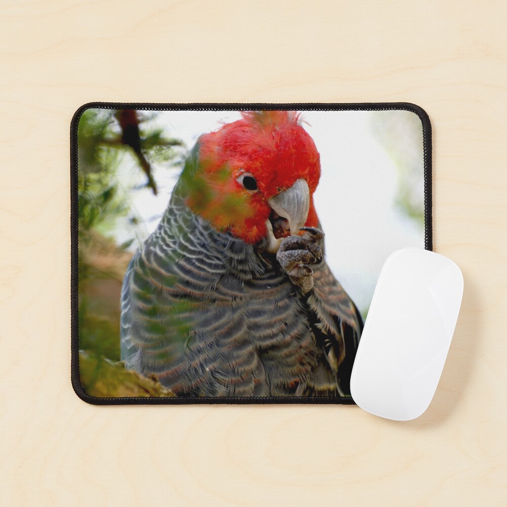 Item preview, Mouse Pad designed and sold by GP1746.