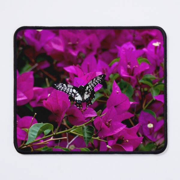 Item preview, Dingy Swallowtail designed and sold by GP1746.