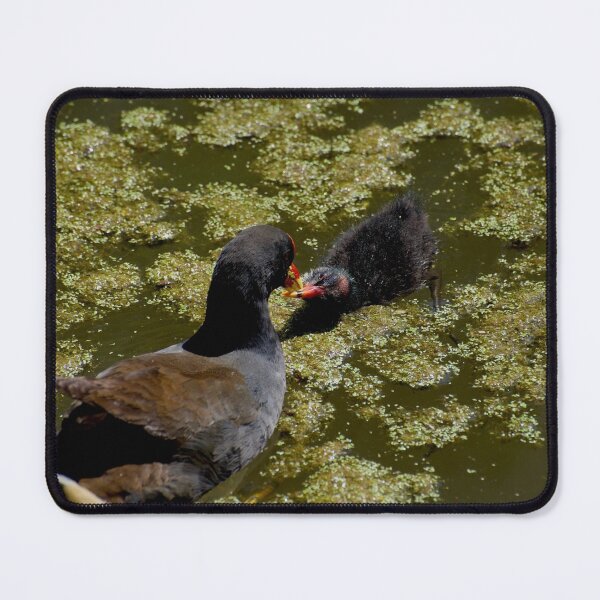Item preview, Dinnertime designed and sold by GP1746.