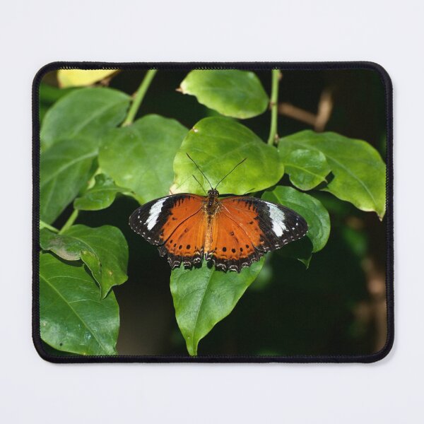 Item preview, Monarch At Rest designed and sold by GP1746.