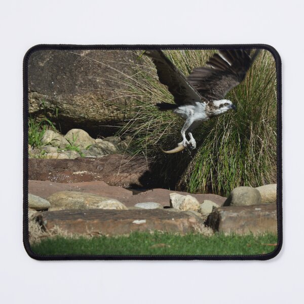 Item preview, What A Catch! designed and sold by GP1746.
