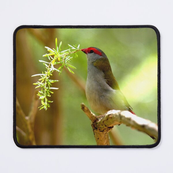Item preview, Nesting Material designed and sold by GP1746.